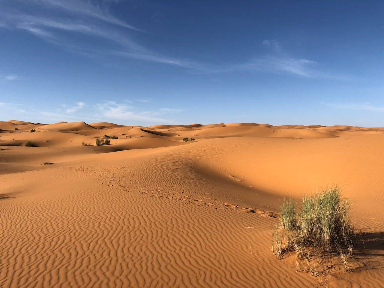 You are currently viewing Camping in the Sahara Desert: Why It’s Not Recommended